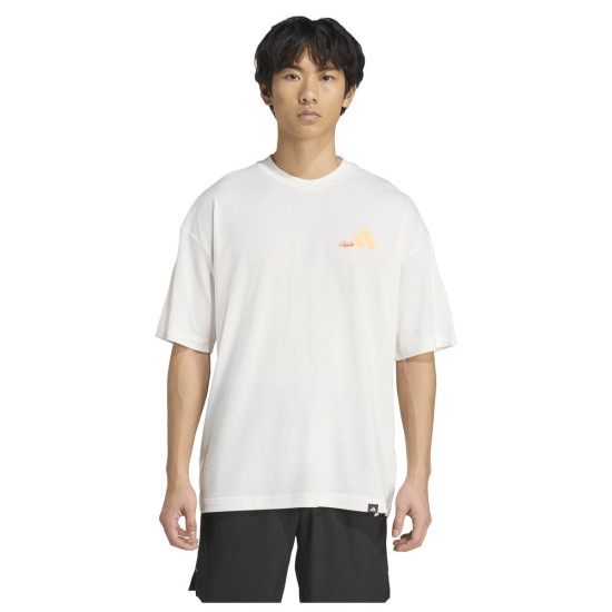 Adidas Ανδρική κοντομάνικη μπλούζα Power Graphic Tee Adidas Ανδρική κοντομάνικη μπλούζα Power Graphic Tee